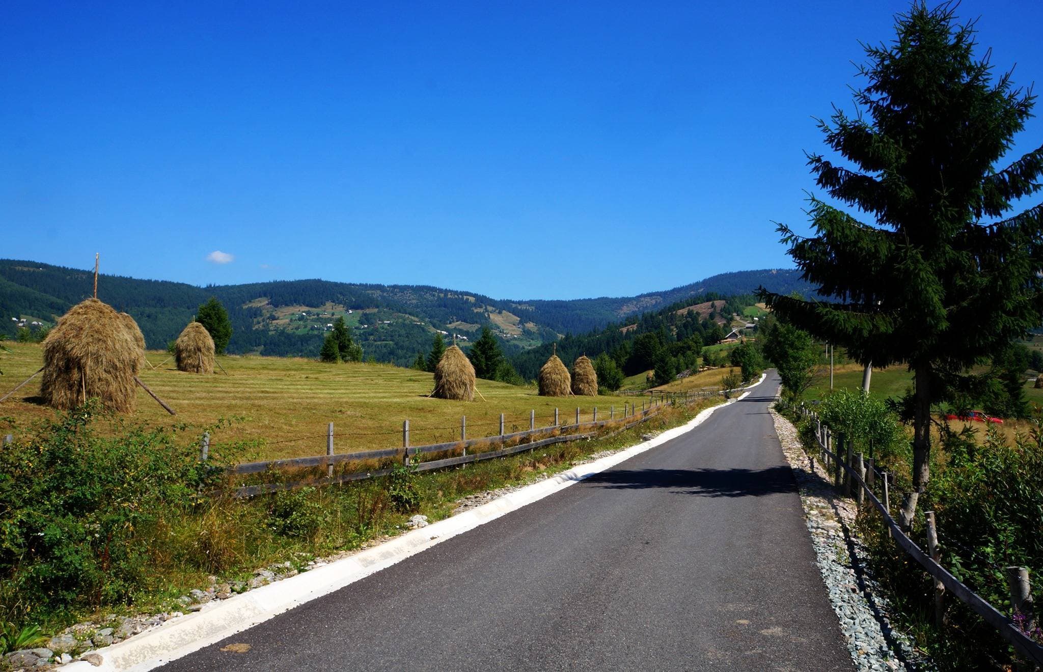 Panoram de pe Vârful Petreasa