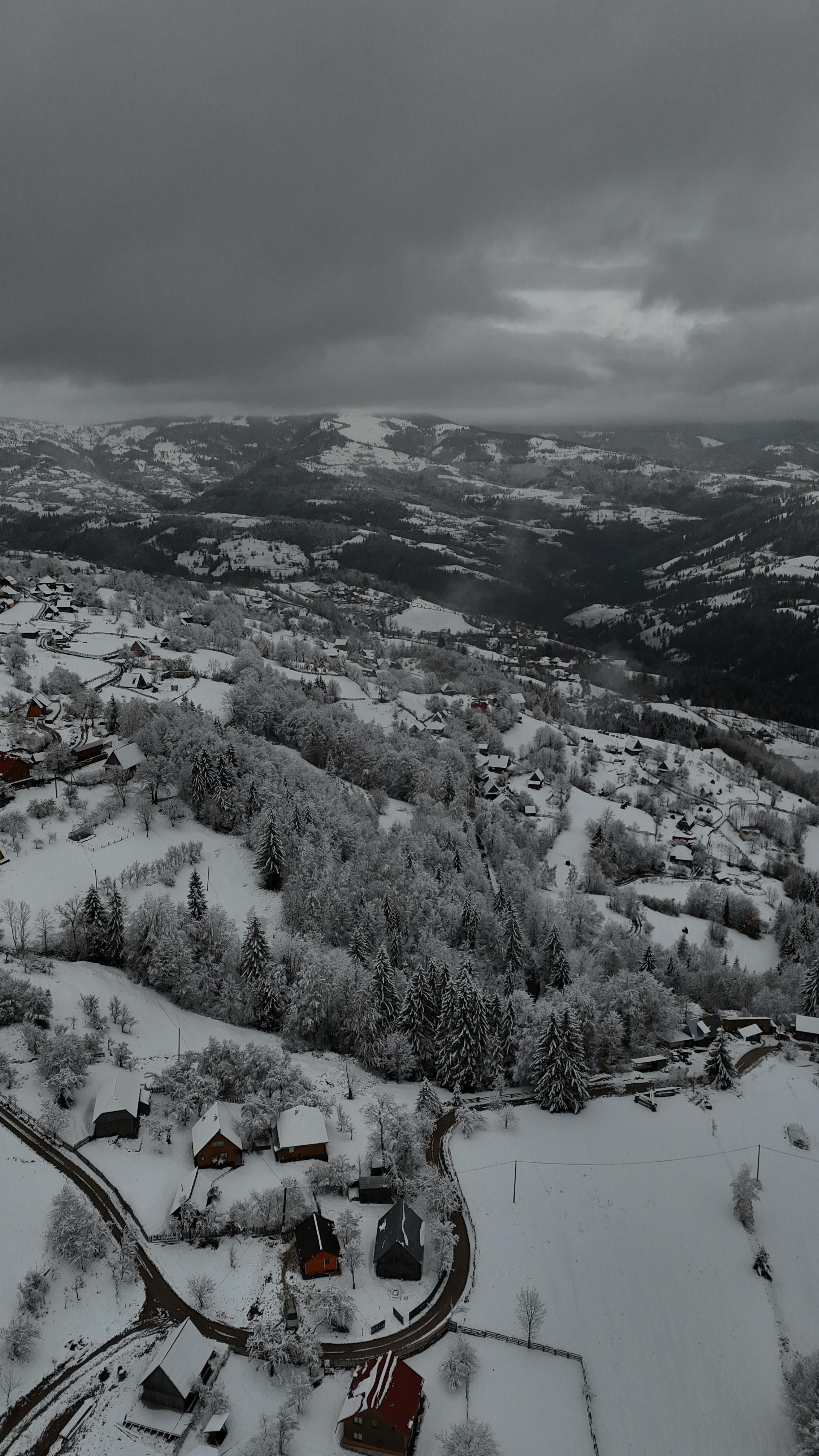 Winter in Apuseni Mountains