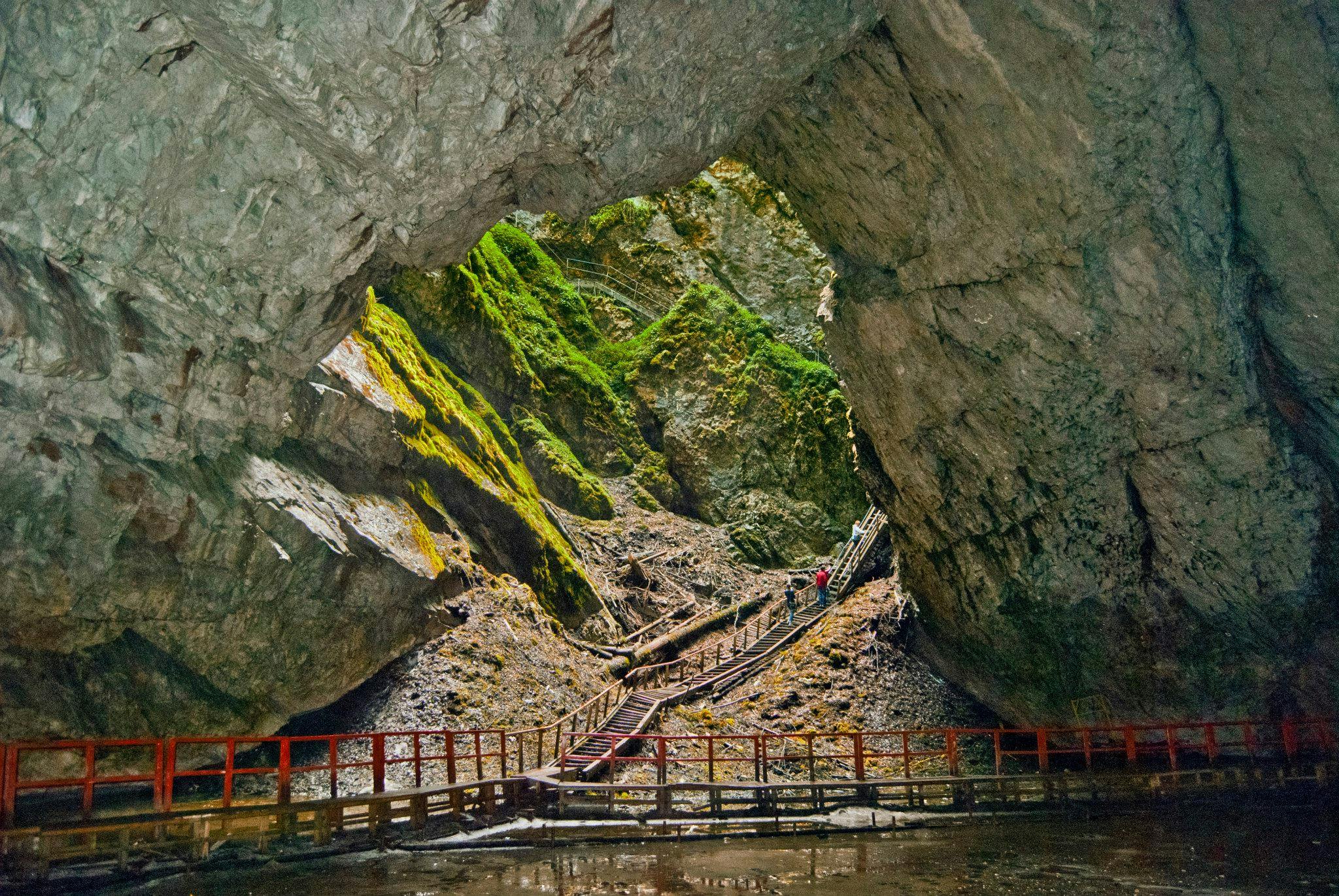Peștera Scărișoara